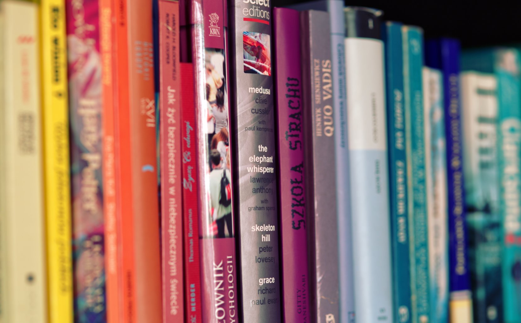 Photo by Kaboompics .com from Pexels (2)