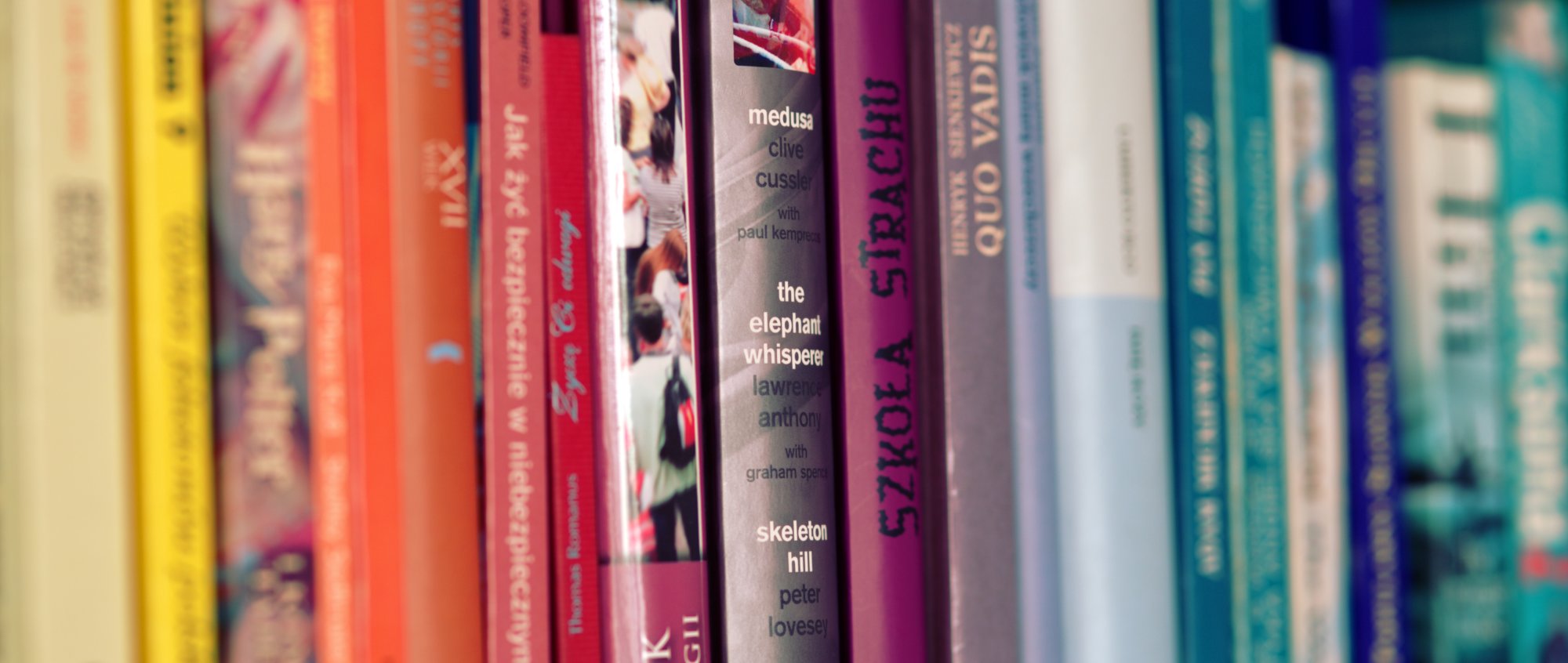 Photo by Kaboompics .com from Pexels (2)