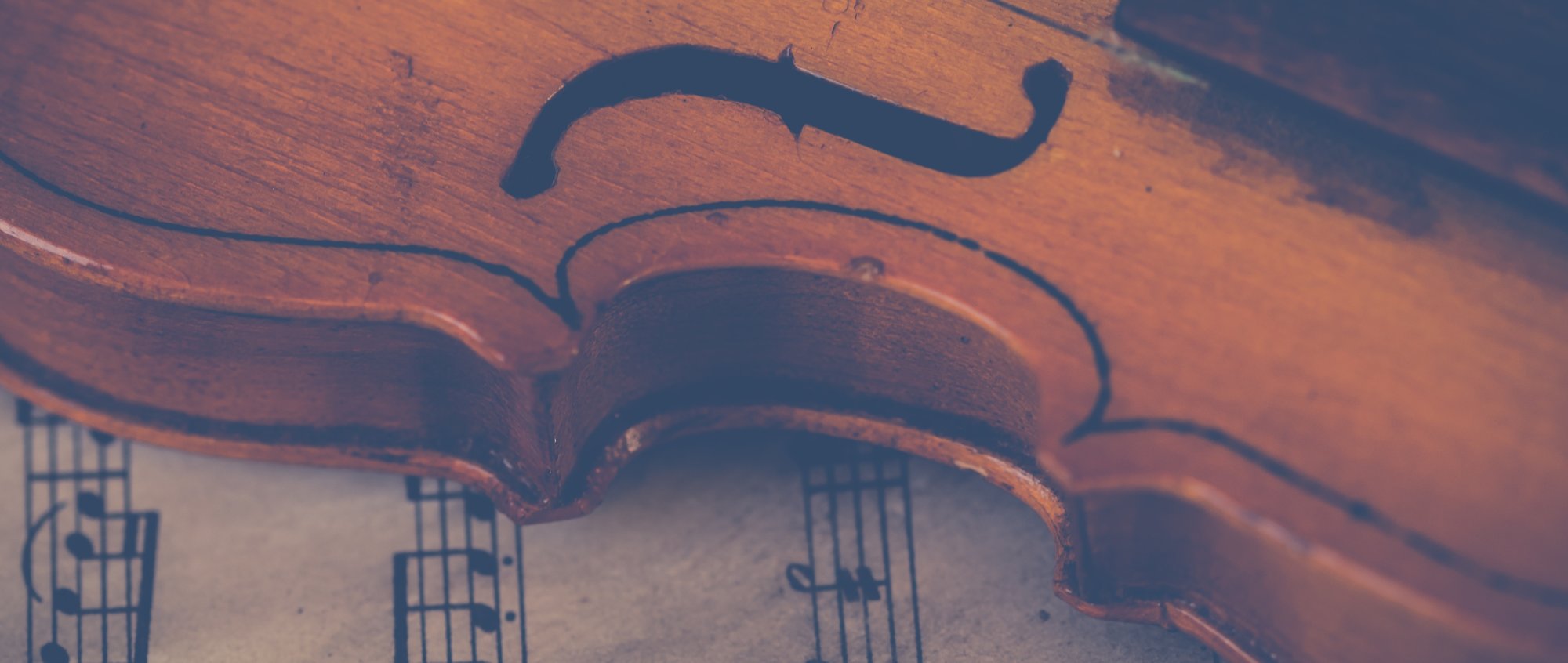 Photo by Ylanite Koppens from Pexels