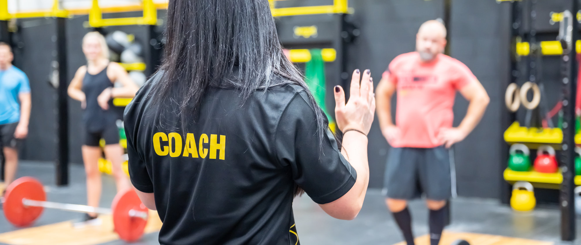 Photography - Nick Harrison