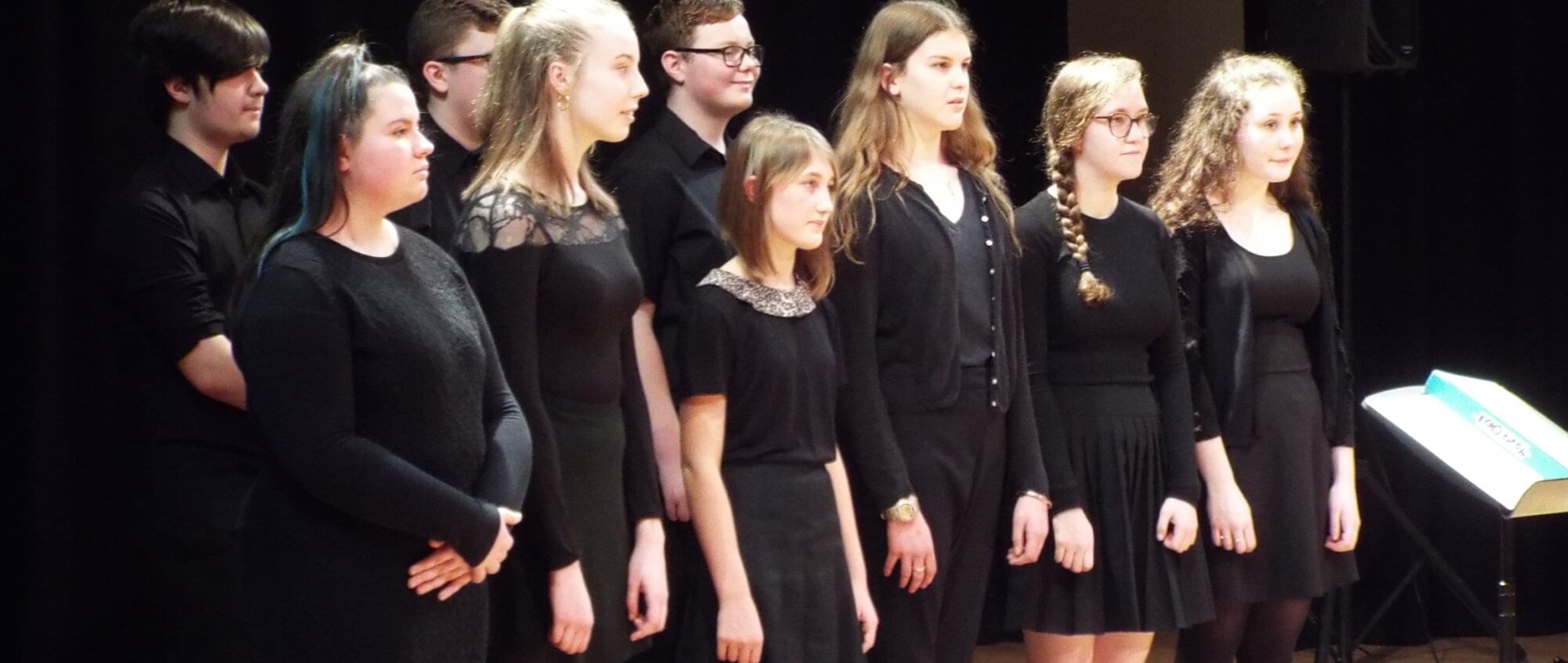 MAPAS Vocal Workshop