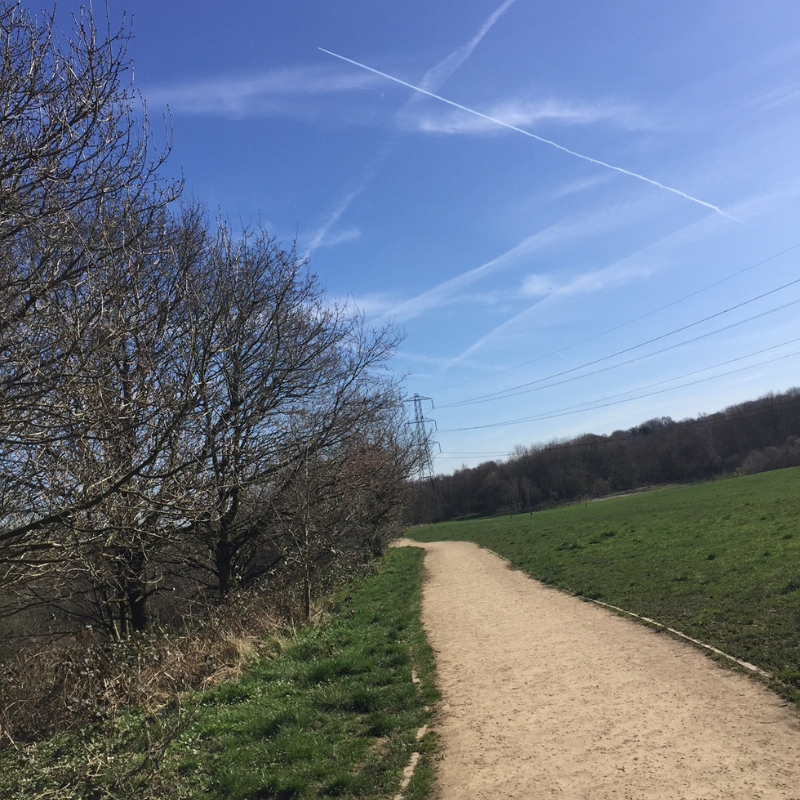 Clifton Country Park