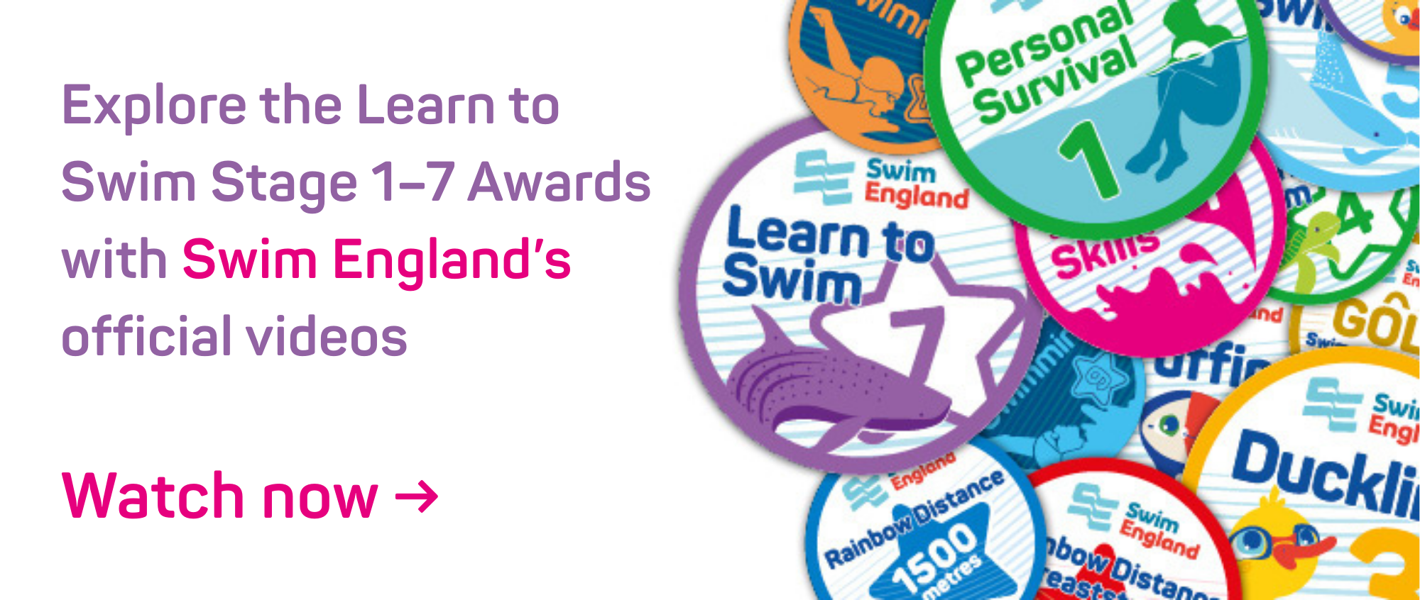 Learn to Swim Stages