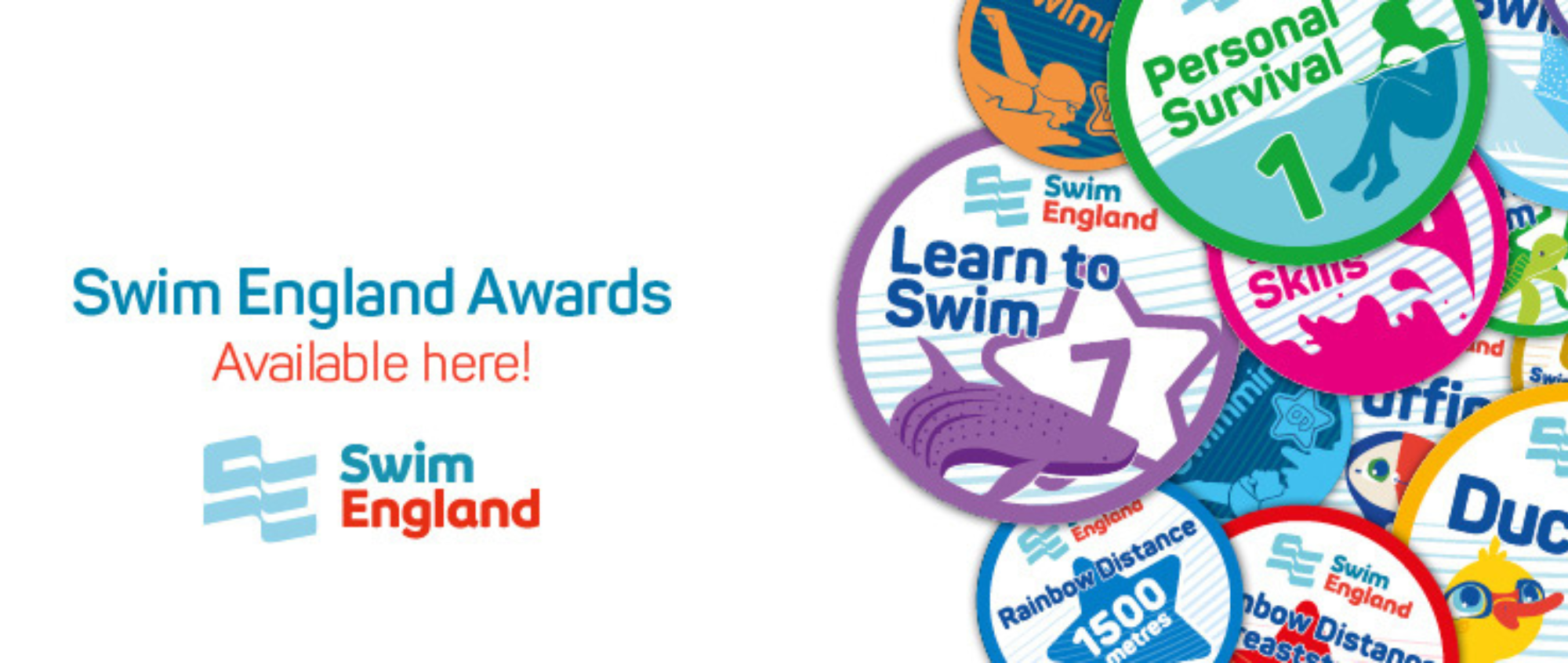 Learn to Swim Stages