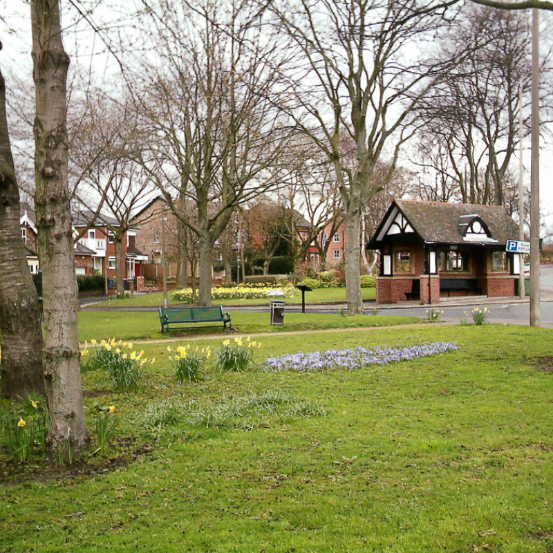 Monton Green