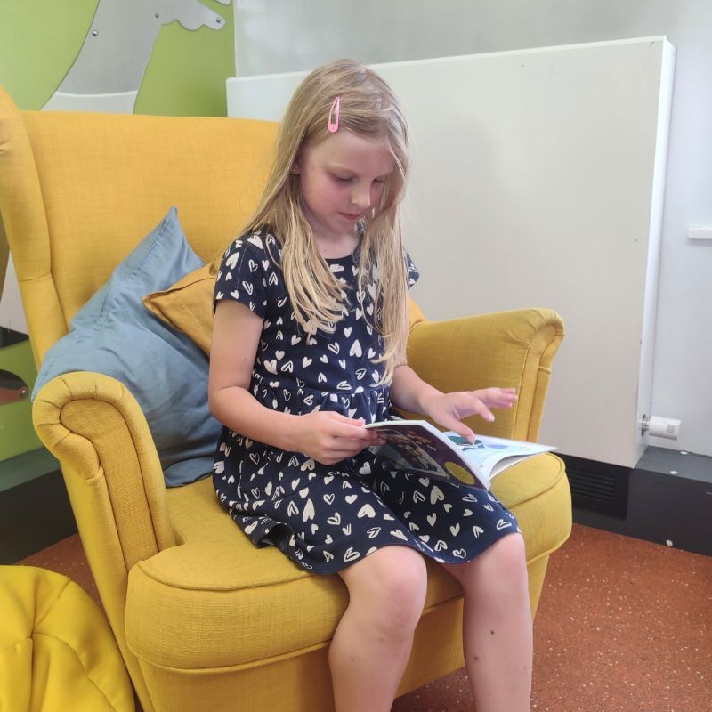 Amelia at the Library