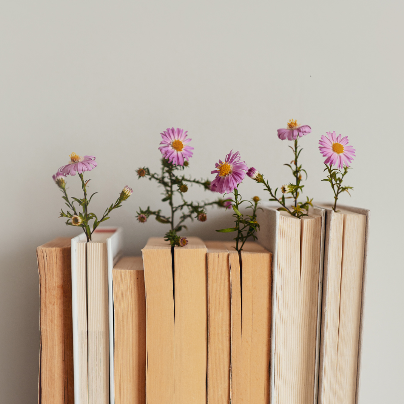 Row of books with flowers
