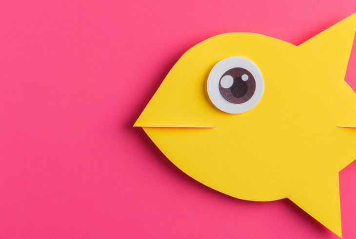 Yellow fish on pink background