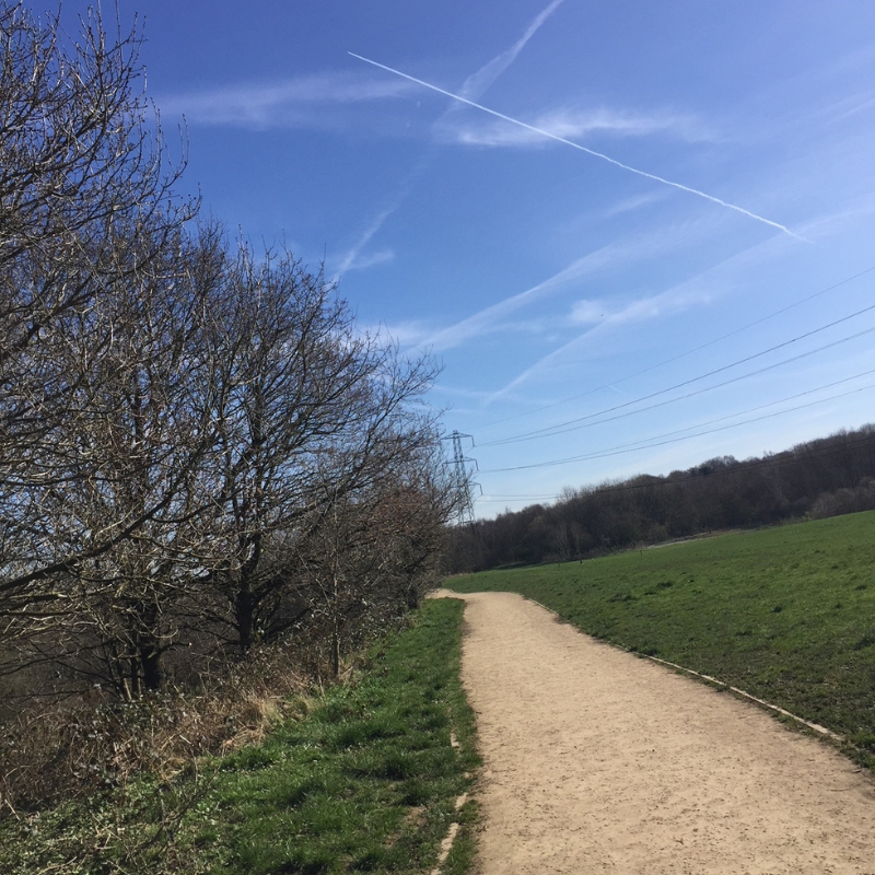 Clifton Country Park