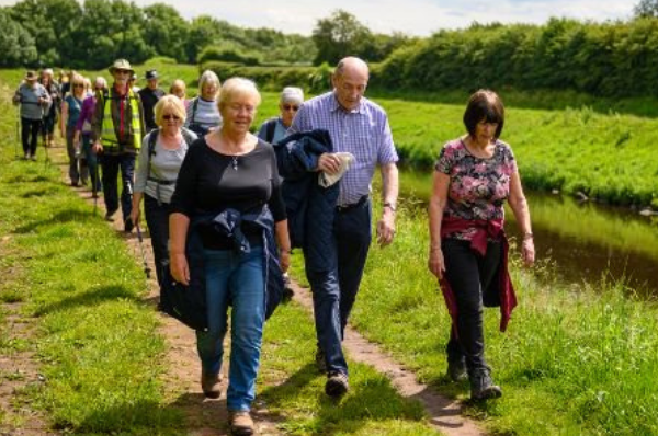 Volunteer Walk Leader