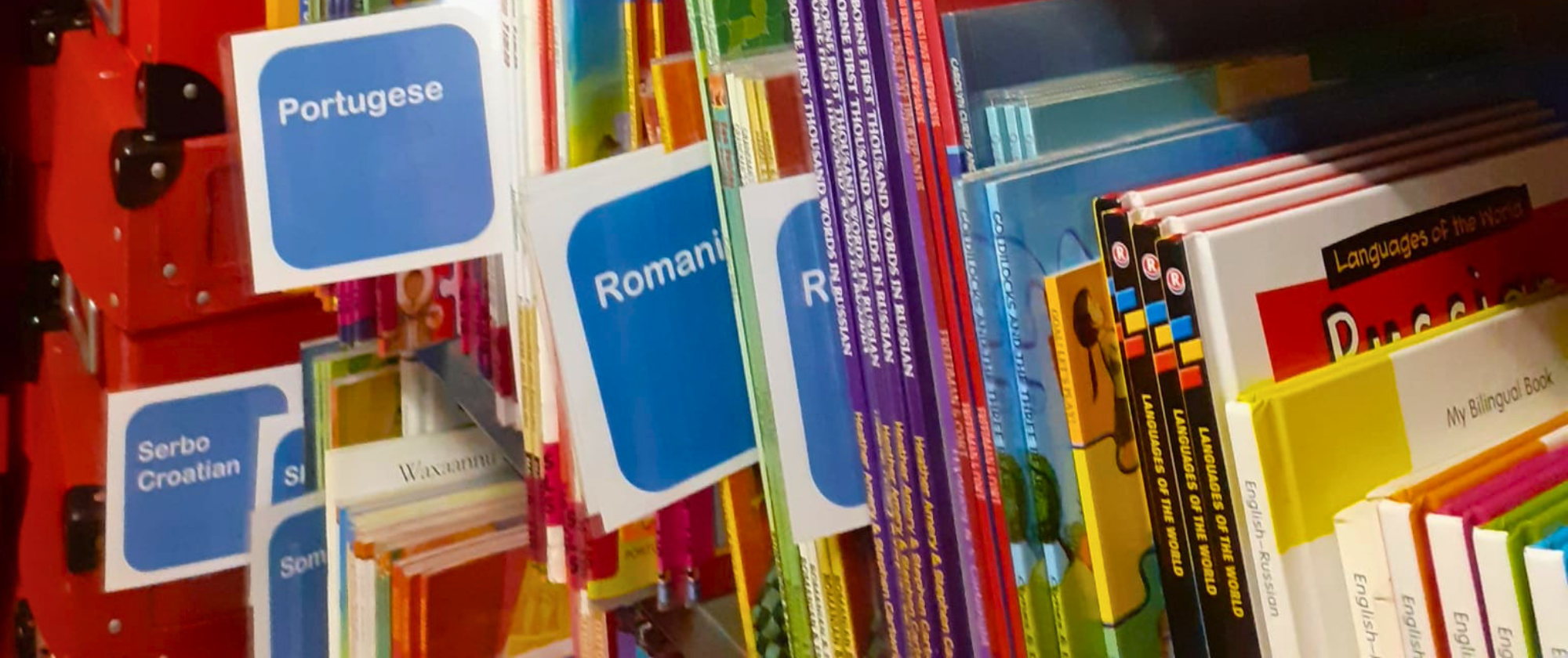 Schools Library Service Bookshelves