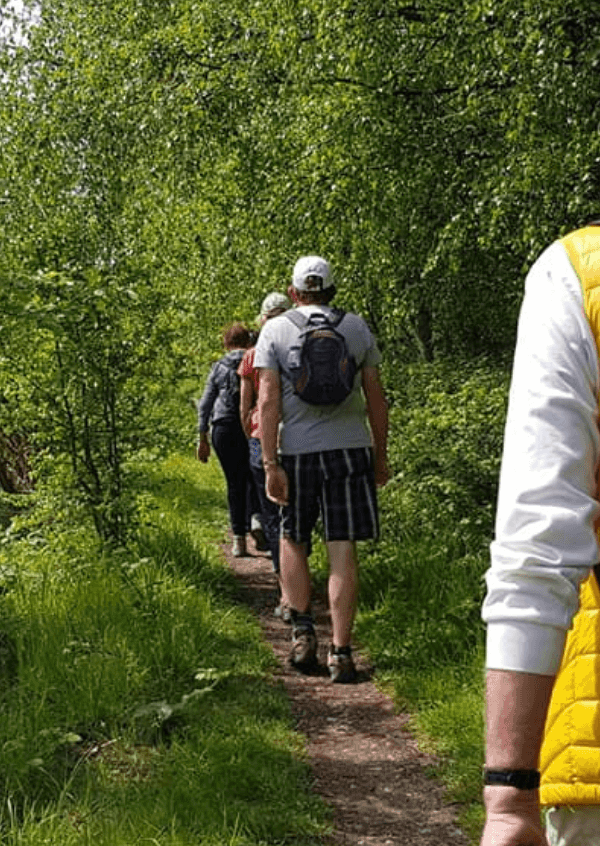 Wellbeing Walks