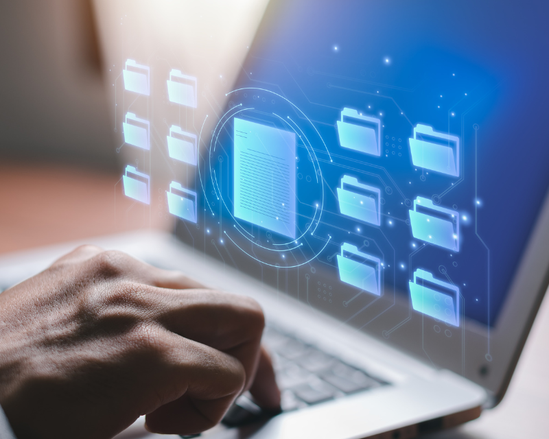 Business information Databases