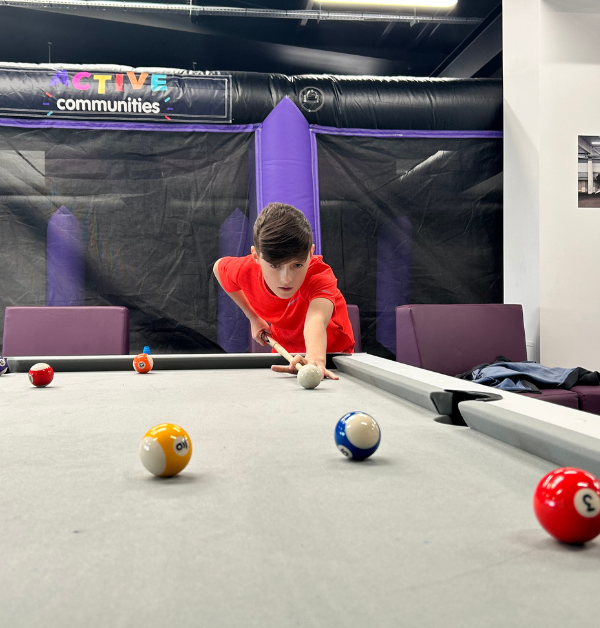 The Den Pool Table