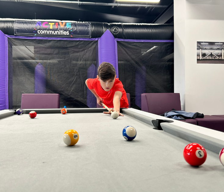 The Den Pool Table