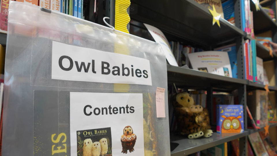 Special book collection for the school library service