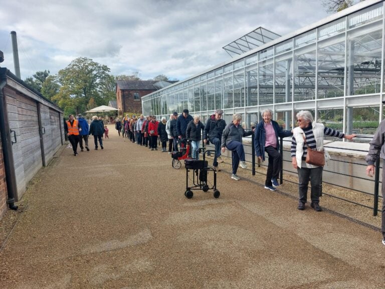 Walking for Wellbeing: Building Strength, Balance and Confidence